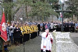 Zdjęcie:  style=